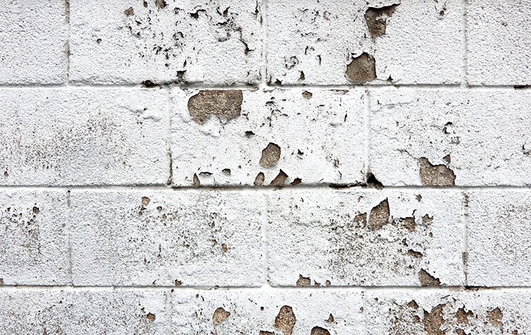 こんな時はお任せください01